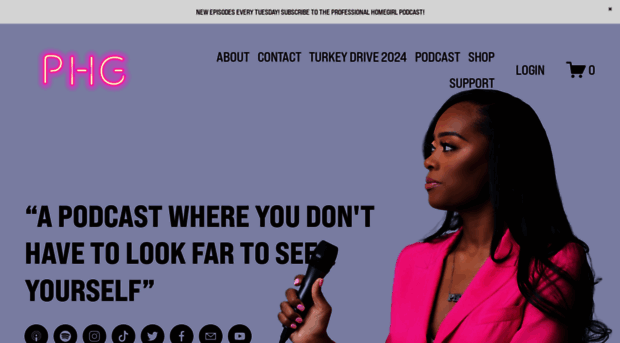 theprofessionalhomegirl.com