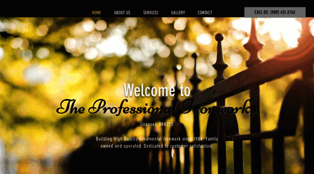 theprofessionalironworks.com