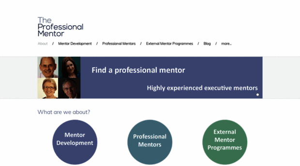 theprofessionalmentor.com