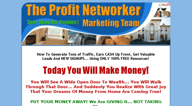 theprofitnetworker.com