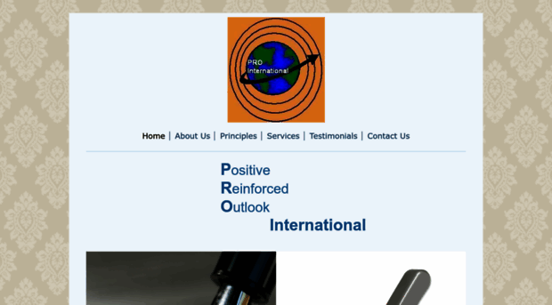 theprointernational.com