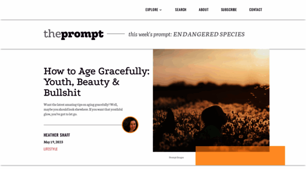 thepromptmag.com