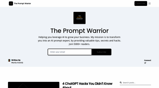 thepromptwarrior.com