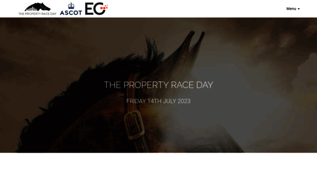 thepropertyraceday.co.uk