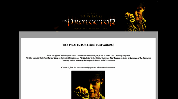 theprotectormovie.com