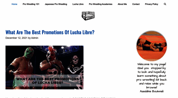 theprowrestler.com