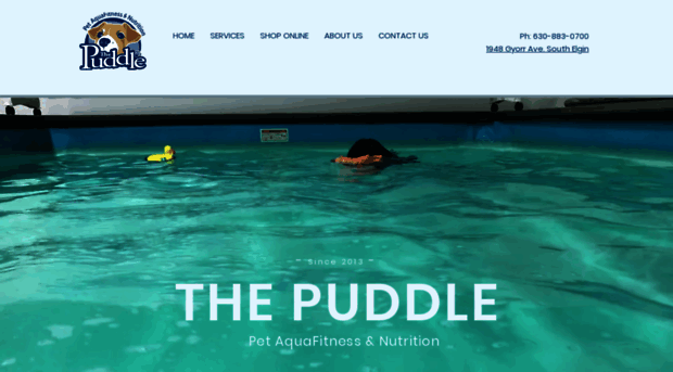 thepuddleaquafitness.com