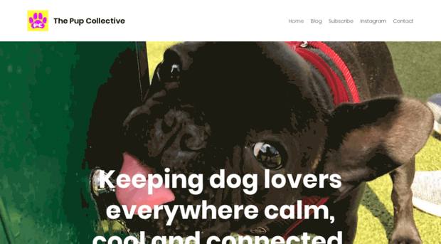 thepupcollective.com