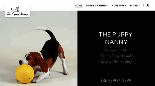 thepuppynanny.net