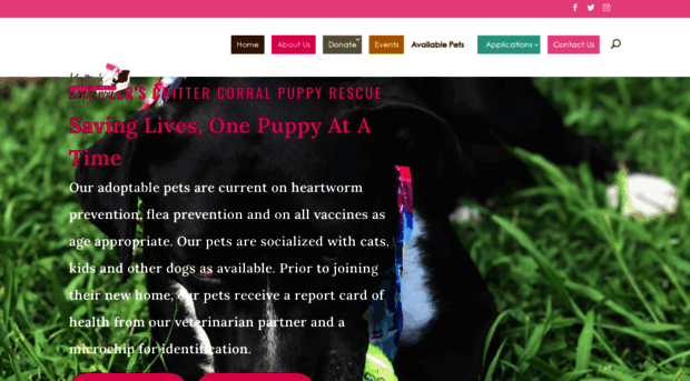 thepuppyrescue.com