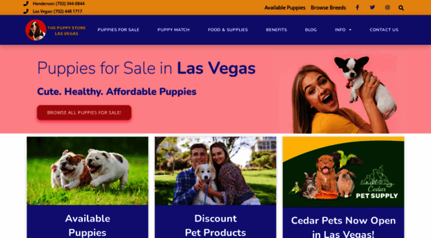 thepuppystorelasvegas.com