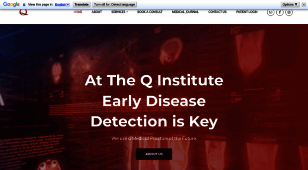 theqinstitute.com