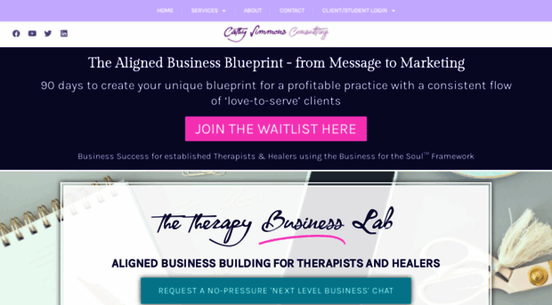 therapybusinessacademy.com