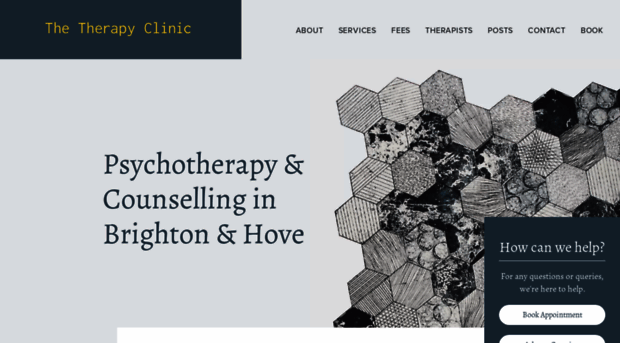 therapyclinicbrighton.com