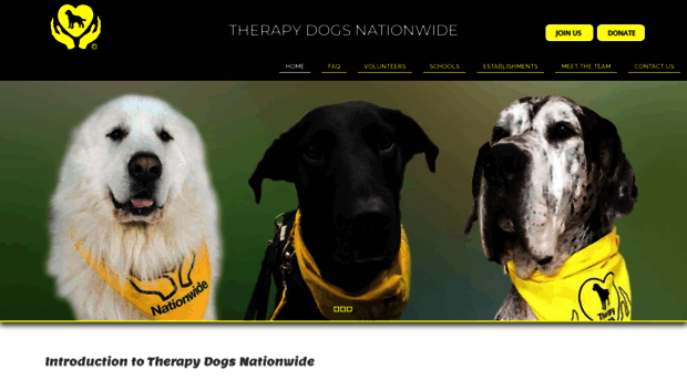 therapydogsnationwide.org