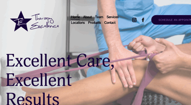 therapyexcellenceinc.com