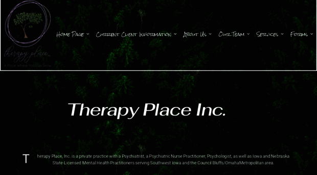 therapyplaceinc.com