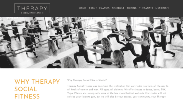 therapysocialfitness.com