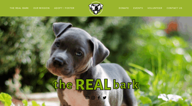 therealbark.org