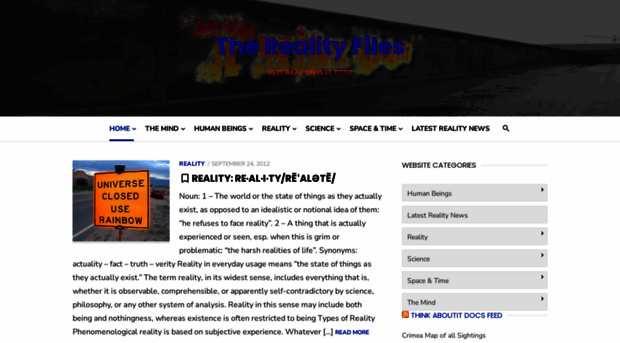 therealityfiles.com