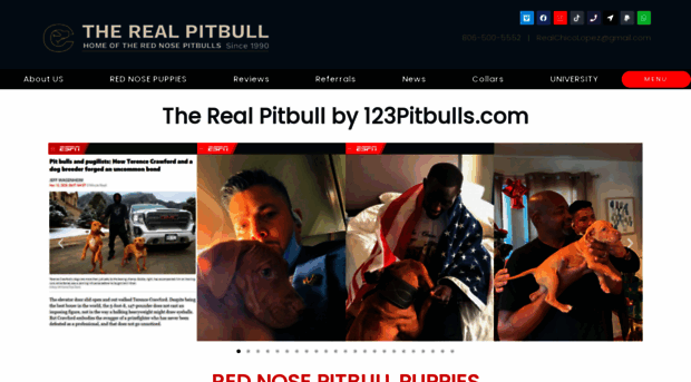 therealpitbull.com