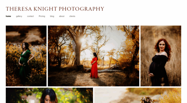 theresaknightphotography.com