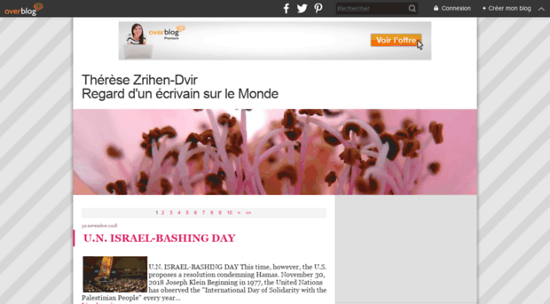 therese-zrihen-dvir.over-blog.com