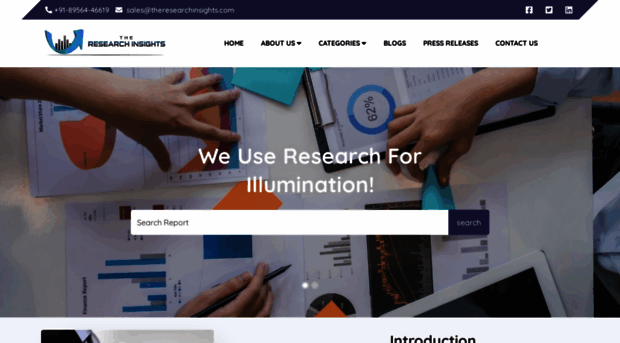 theresearchinsights.com