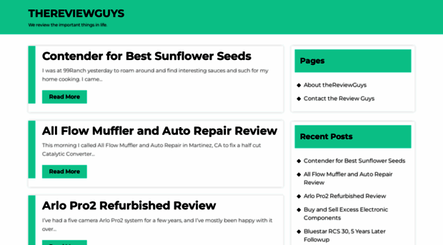 thereviewguys.com