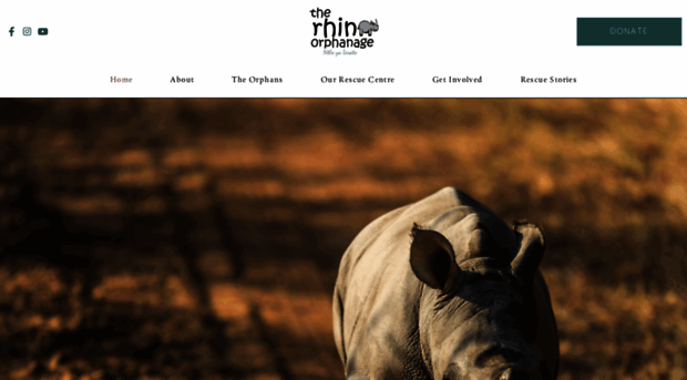 therhinoorphanage.co.za