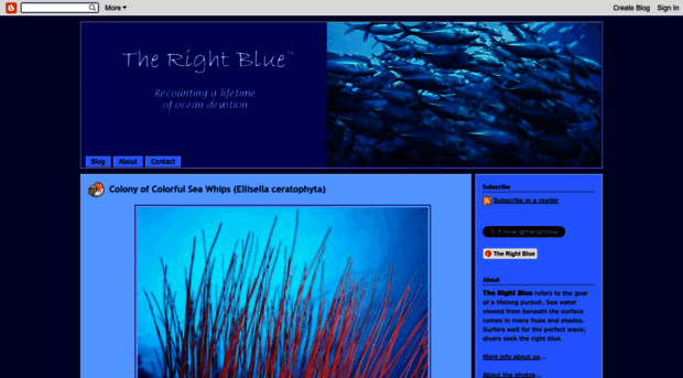 therightblue.blogspot.com