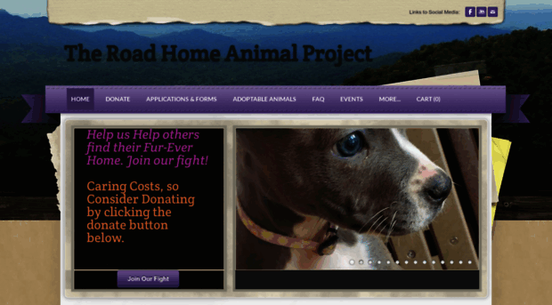 theroadhomeanimalproject.org