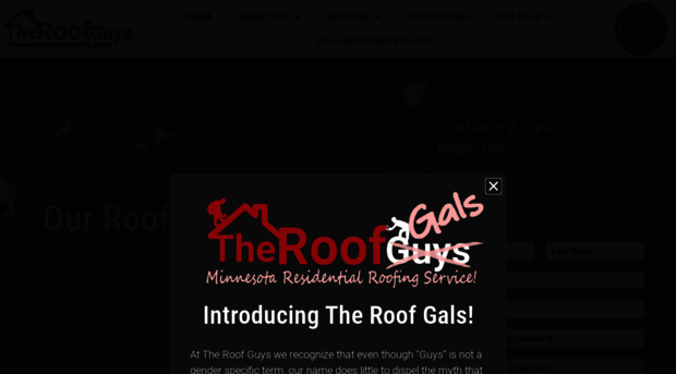 theroofguysmn.com