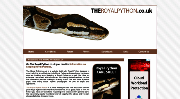 theroyalpython.co.uk