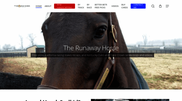 therunawayhorse.com