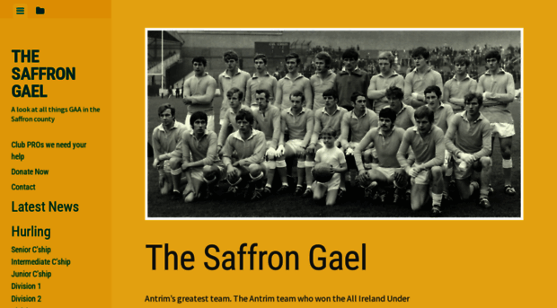 thesaffrongael.com