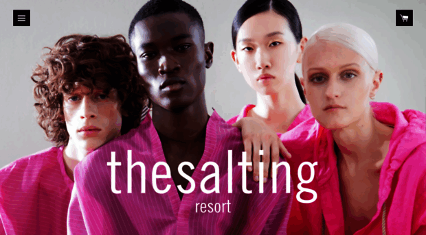 thesalting.com