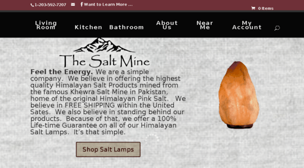 thesaltmine.co