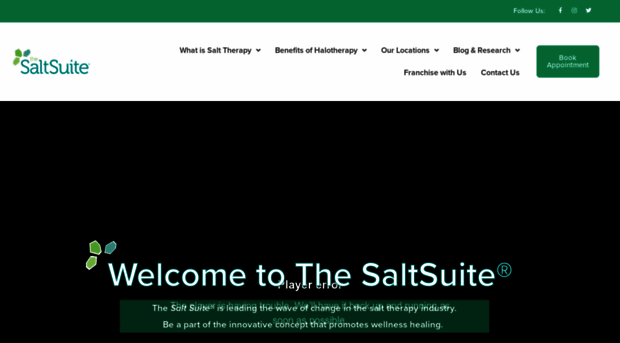 thesaltsuite.com