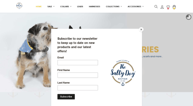 thesaltydogboutique.com