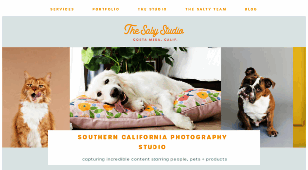 thesaltydogstudio.com