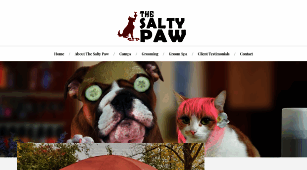 thesaltypaw.com