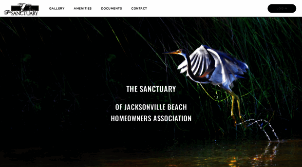 thesanctuaryjaxbeach.com