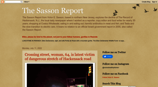 thesassonreport.blogspot.com