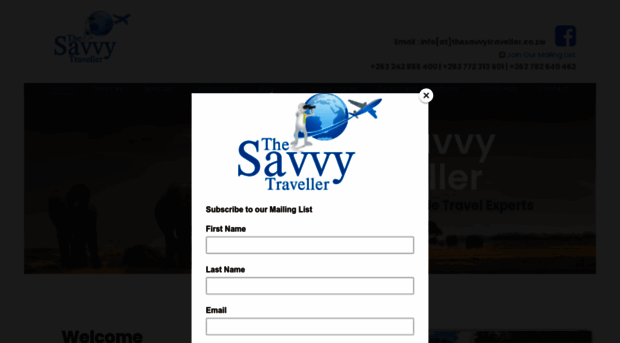 thesavvy-traveller.com