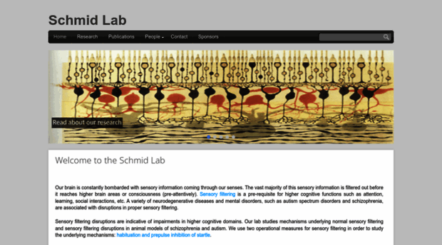 theschmidlab.com