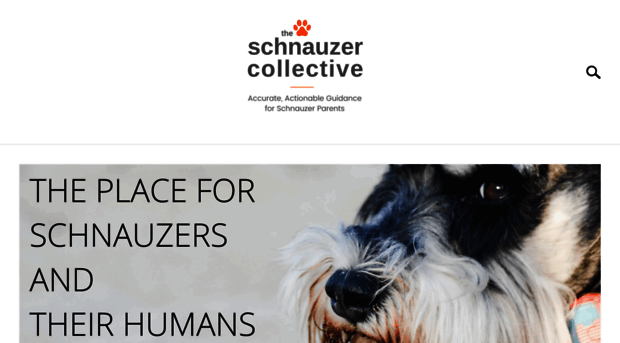 theschnauzercollective.com