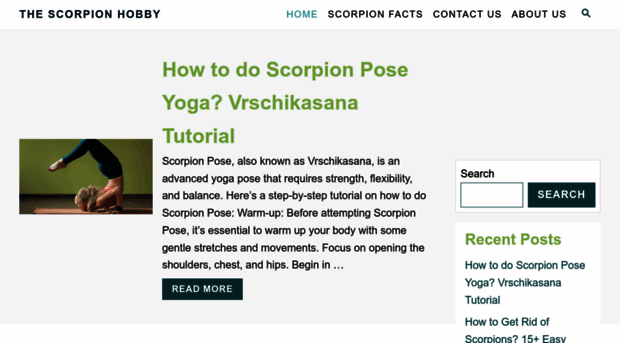 thescorpionhobby.com