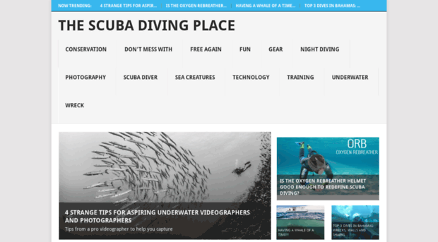 thescubadivingplace.com