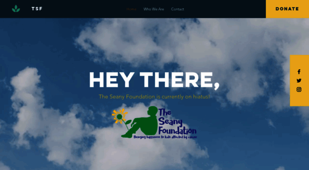 theseanyfoundation.org